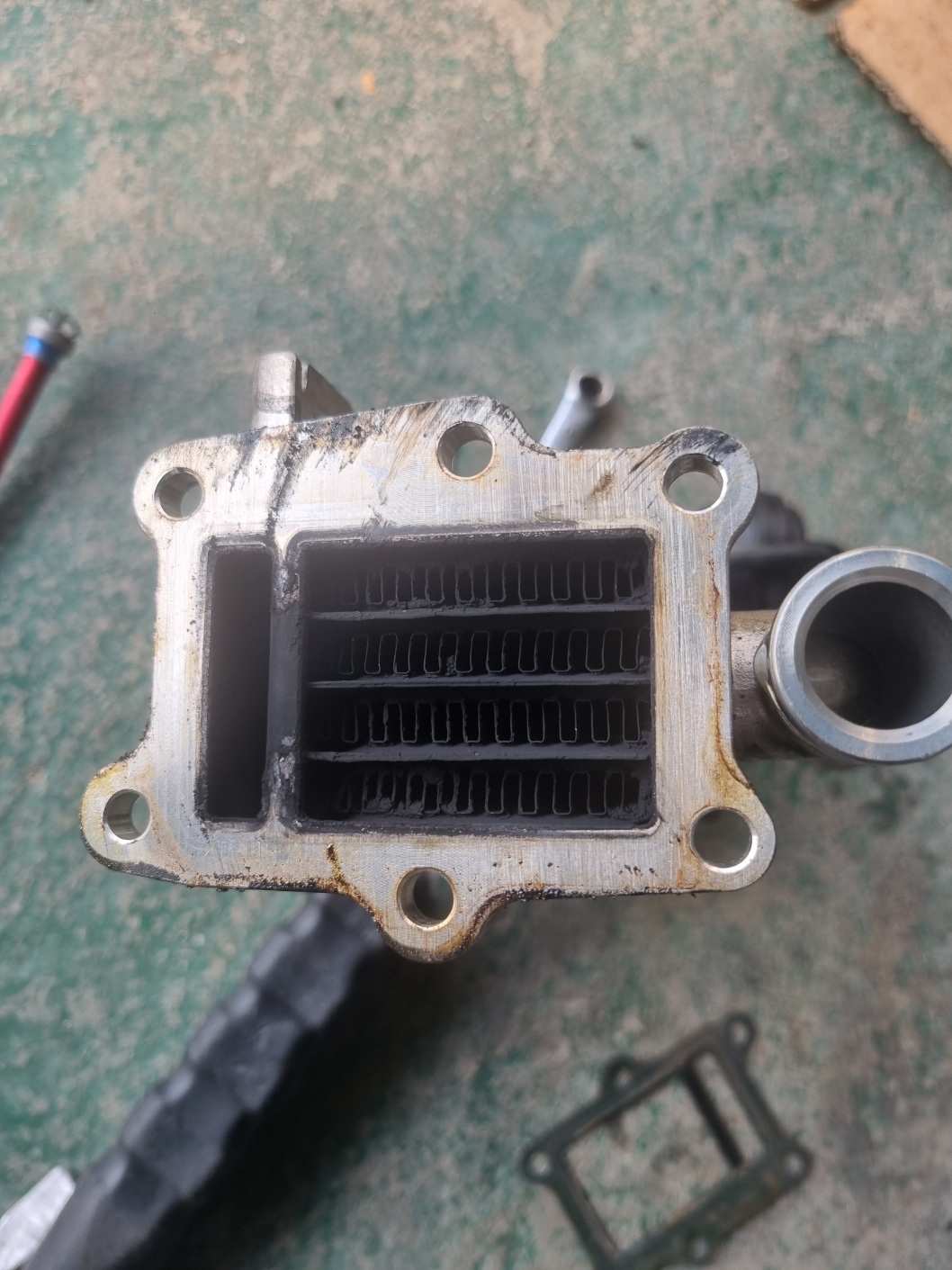 2000769928_V1UXZQbo_503ebb08918185d0797f80d8a80995e5632509b3.jpg 이미지크게보기