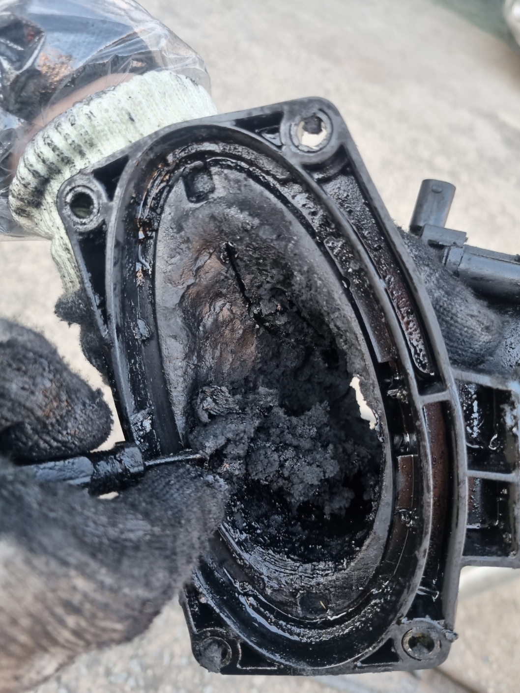 2000769928_X4fIbJ6E_e7df5a33ed6f4ef11e714ff22e86216531a7cf1e.jpg 이미지크게보기