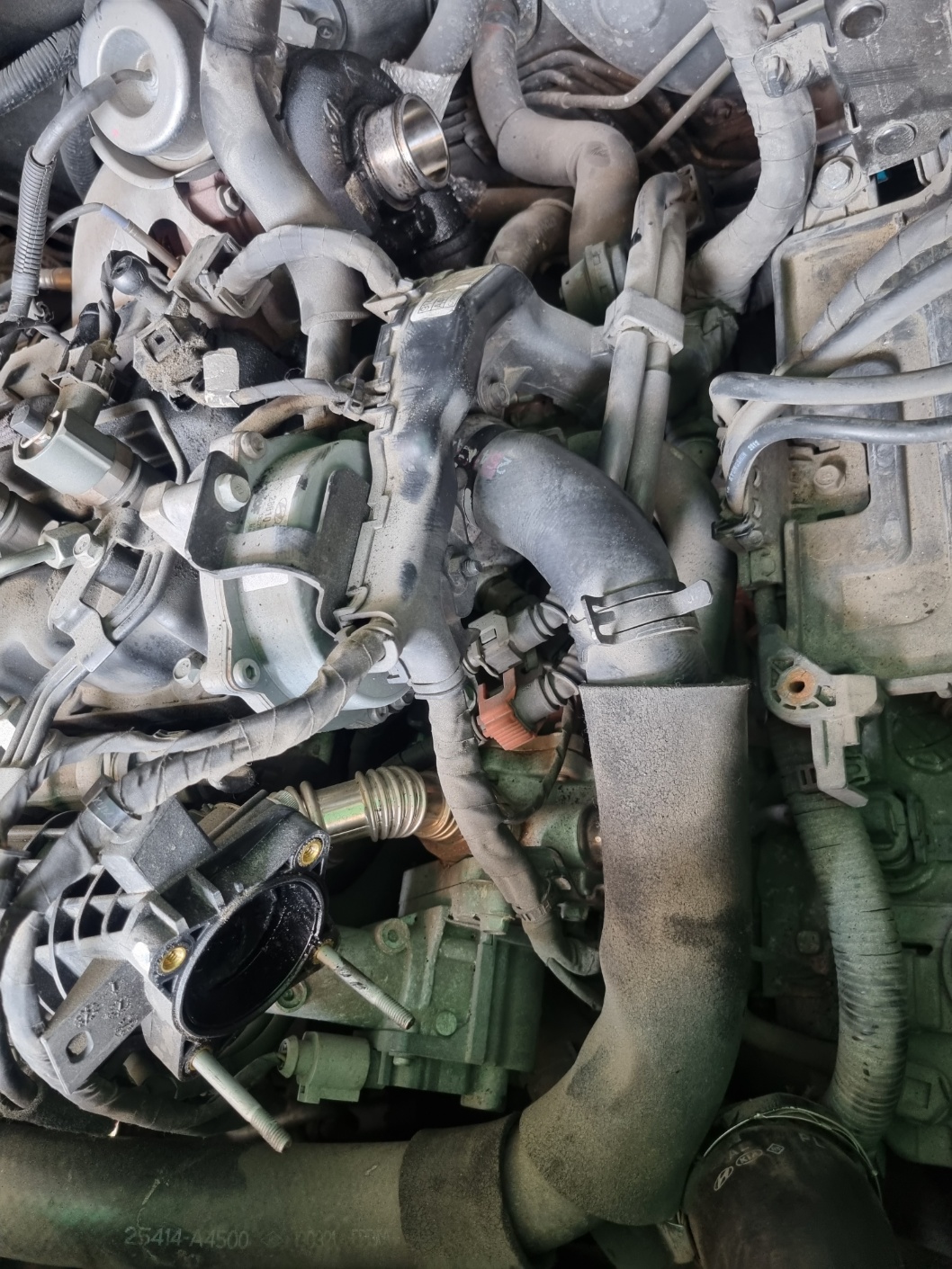 2000769928_Zbqz7iQT_2900664be0b7f443e26310b55d4fe84c6e7e567a.jpg 이미지크게보기