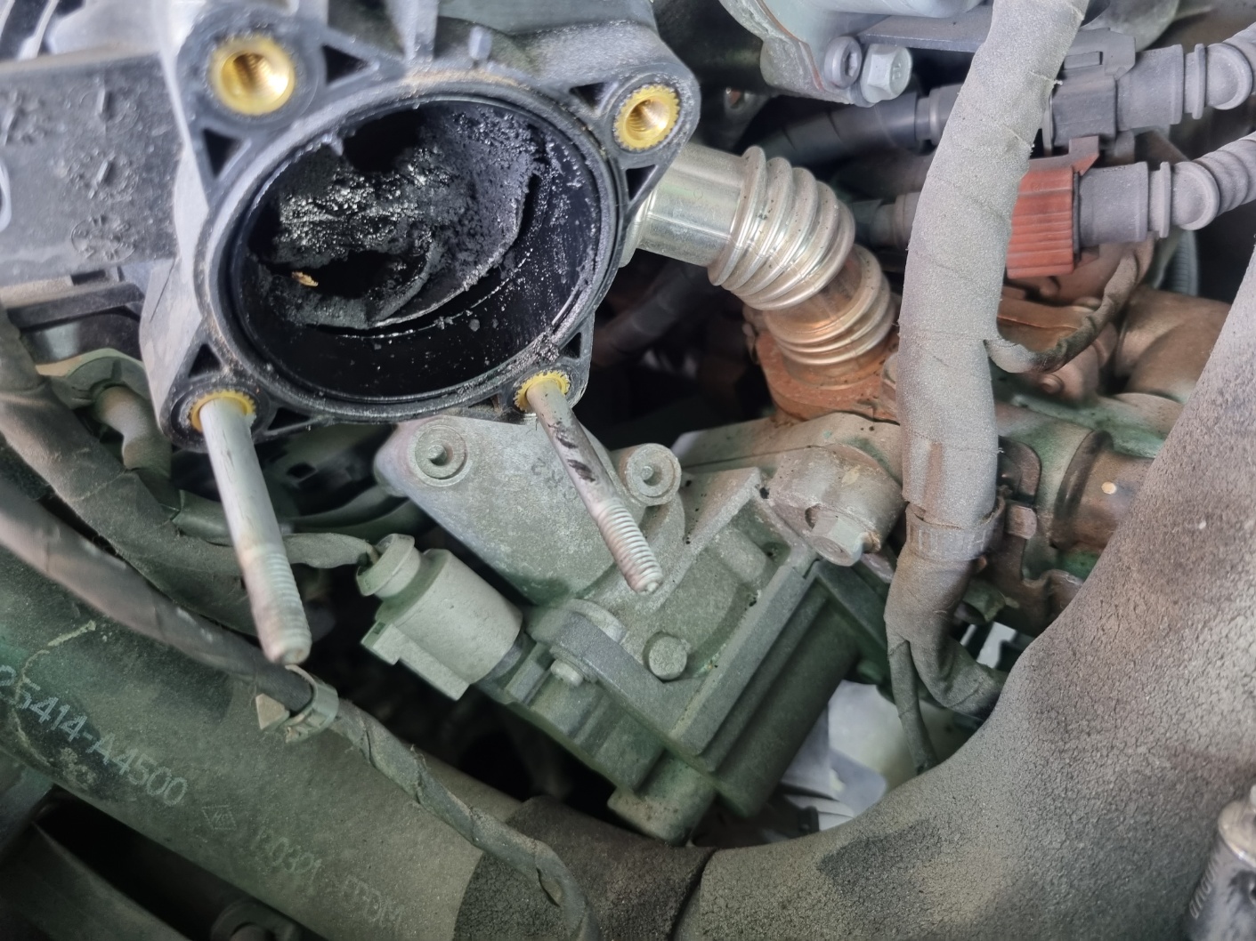 2000769928_f7wHMNAq_e84d990d9334f1cfe0ef2b30b964aeac1ee2375b.jpg 이미지크게보기