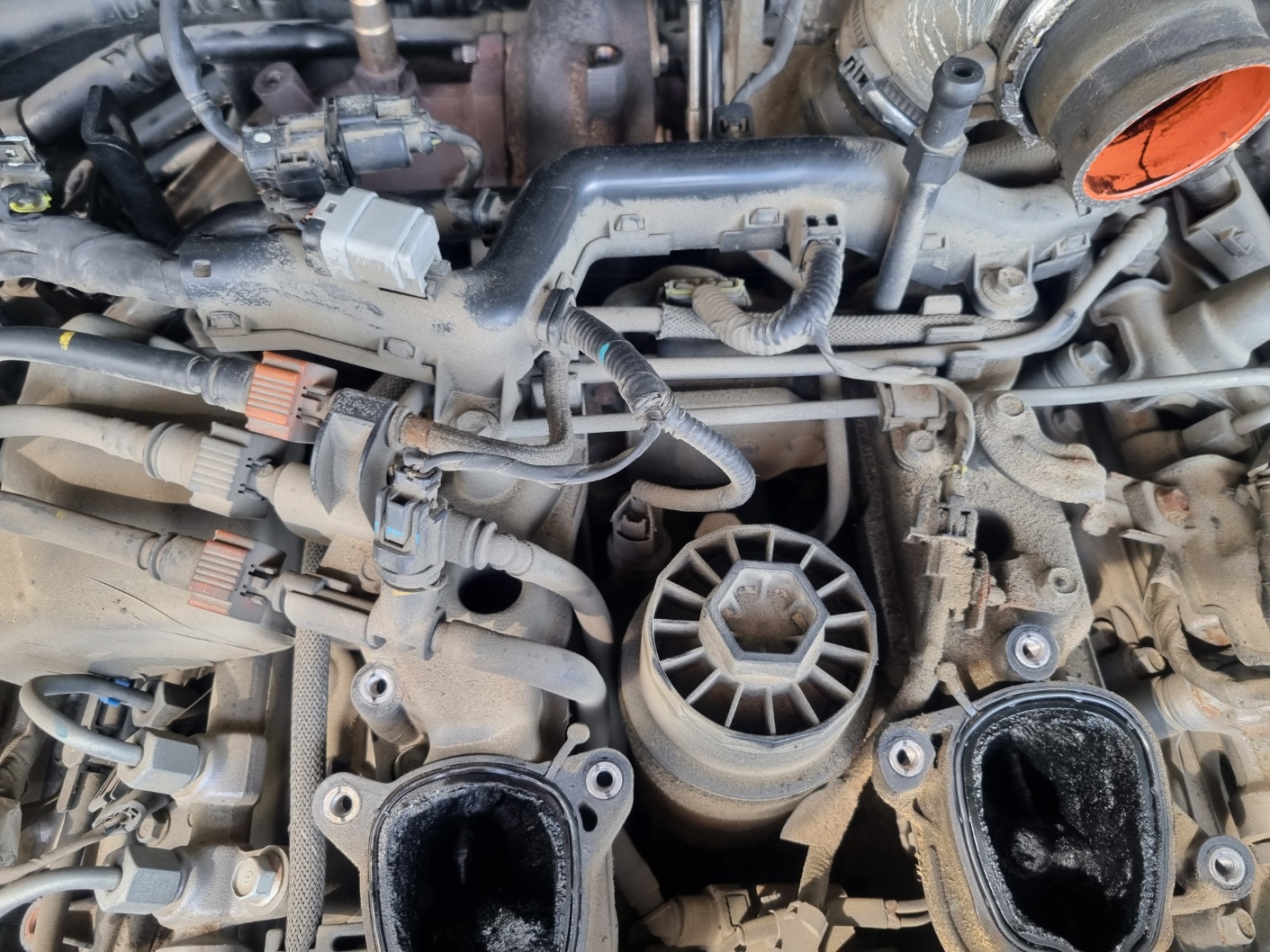 2000769928_j54lE0QM_17dfecef9f478a0bdea68e1fe7b1414954f18e95.jpg 이미지크게보기