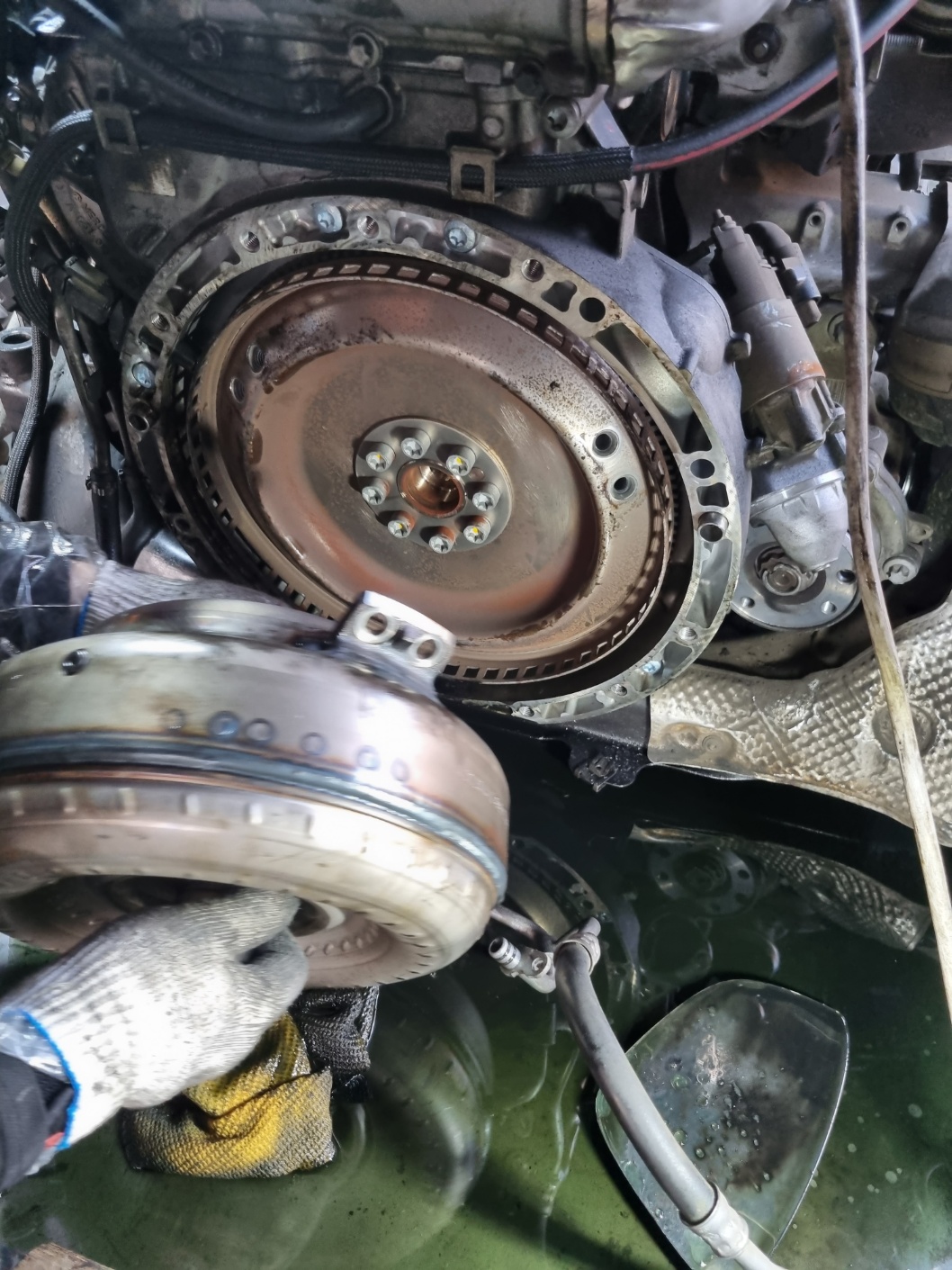 2000769928_jWrfKRJu_9b963d40255216f830b433b2828782b606c7389c.jpg 이미지크게보기