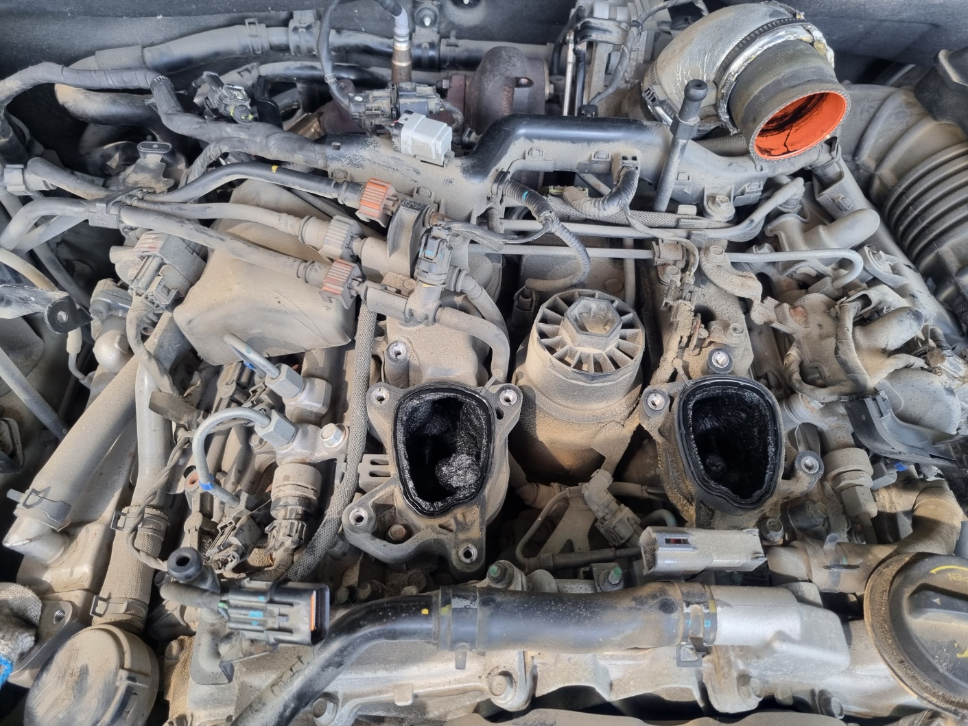 2000769928_jns9hrbO_0cf98acda59be3662e510acd37516d3066f4da16.jpg 이미지크게보기