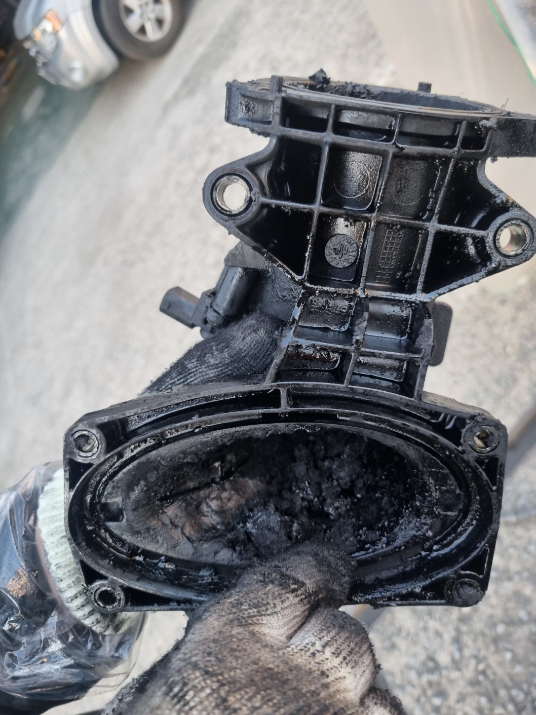 2000769928_n9IsCBeh_67ddf462ad2e079473f926ab8258ec17177b3137.jpg 이미지크게보기