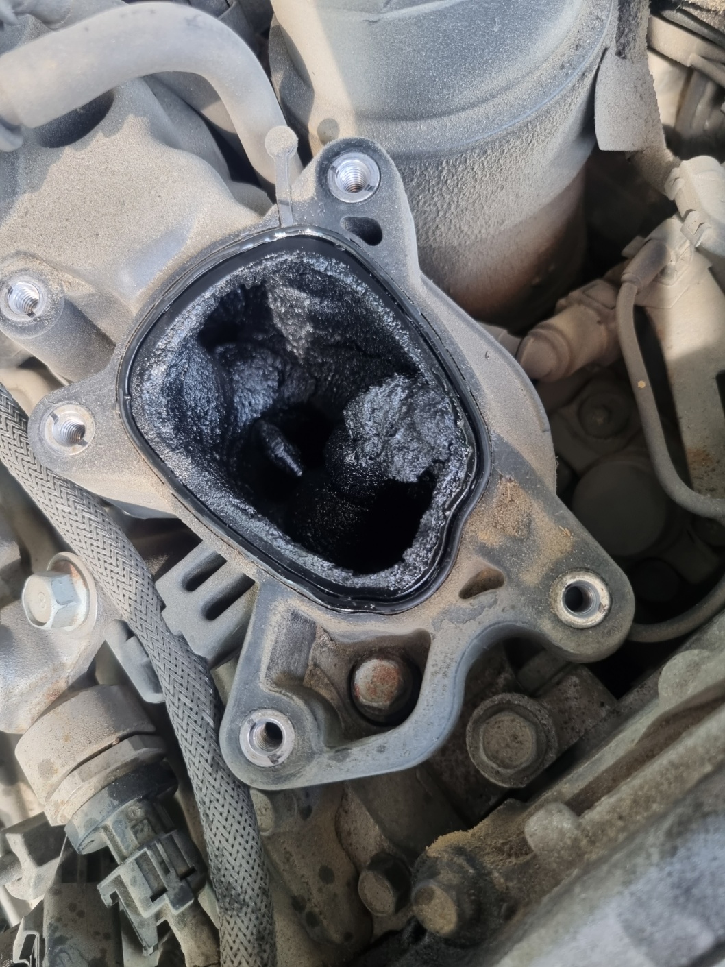 2000769928_ndzYxwGQ_b5b9a5937c2c03b34b68c3f46f2436eba79d6103.jpg 이미지크게보기