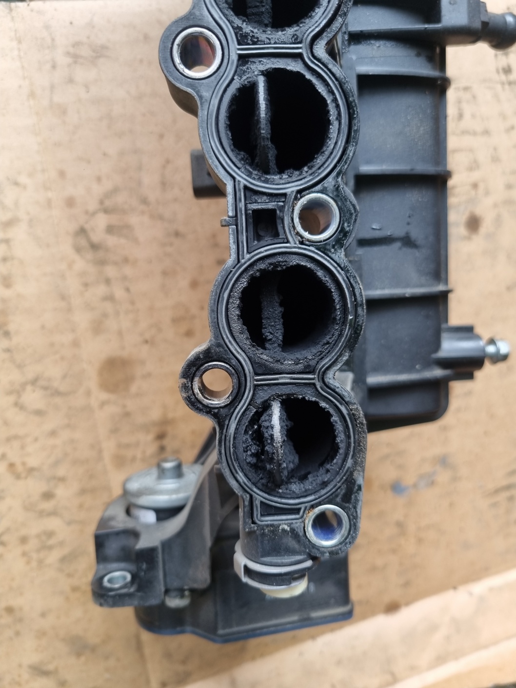 2000769928_u7NGHaUC_74a0c6b5c70b98c46cce7e4518b61f7b8f00a7cb.jpg 이미지크게보기