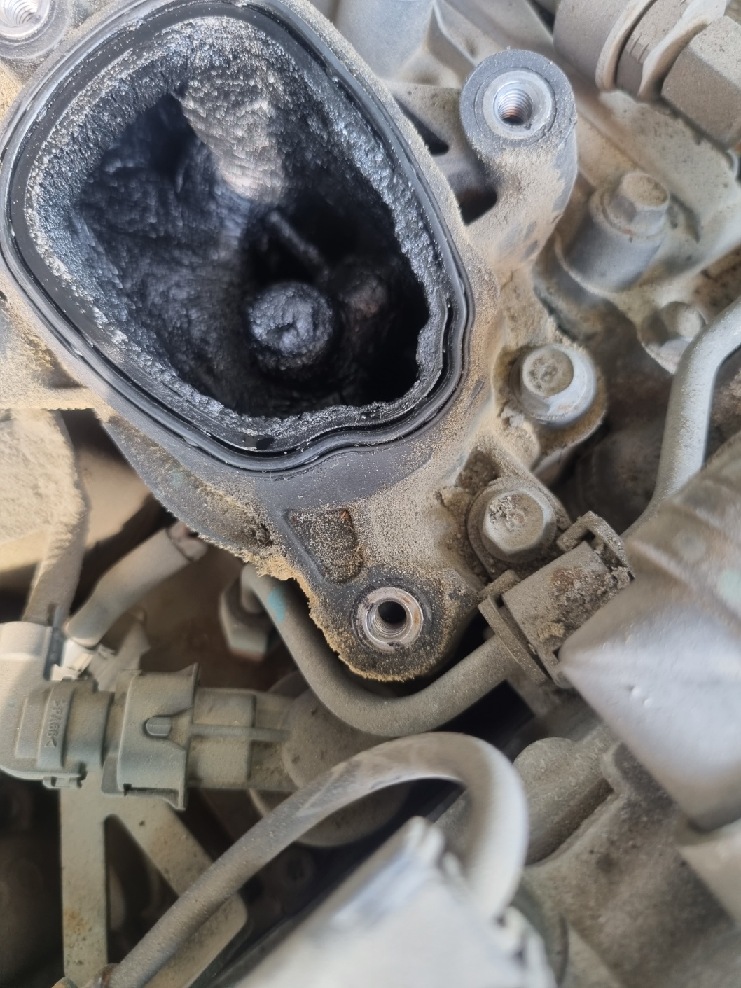 2000769928_zbx5DEFn_e32abfbdcc3af08df814af50d58bcc8e83dfb7fe.jpg 이미지크게보기